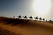 Maroc Sahara caravane.jpg
