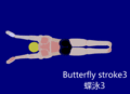 Butterfly stroke3.gif