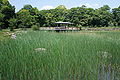 Hyogo prefectural Kabutoyama Forest Park11n4592.jpg