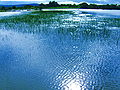 Lagoa do Umari no município de Belém-PB.jpg