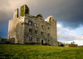 Lemaneagh Castle2.jpg