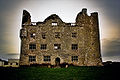 Lemaneagh Castle4.jpg