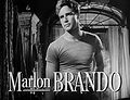 Marlon Brando in Steetcar Named Desire trailer.jpg