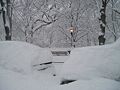 Riverside Drive, New York City, Blizzard of 2006.jpg