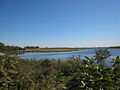 Salt Marsh1.jpg