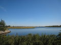 Salt Marsh4.jpg