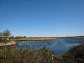 Salt Marsh5.jpg