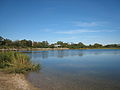 Salt Marsh6.jpg
