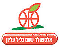 Team logo-galil.jpg