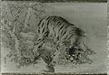 Tiger by Kishi Ganku.jpg