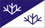 Флаг волости Вазалемма