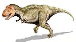 Тираннозавр (инфраотряд целурозавры)