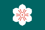http://dic.academic.ru/pictures/wiki/files/49/150px-flag_of_saga.png