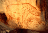 20,000 Year Old Cave Paintings Hyena.gif