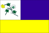 Флаг