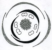 Alisma floral diagram.jpg
