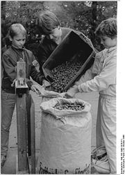 Bundesarchiv Bild 183-1988-1024-311, Berlin, Tierpark, Ankauf von Eicheln.jpg