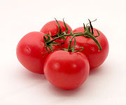 Томаты (помидоры): подробное описание, свойства, особенности растения, уход и выращивание