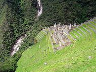 Peru Wiñay Wayna.jpg