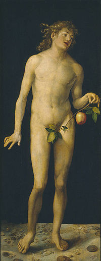 Albrecht Dürer 001b.jpg