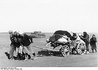 Как называют беженцев по другому. 200px Bundesarchiv Bild 183 J19568%2C Bei Stalingrad%2C russische Fl%C3%BCchtlinge. Как называют беженцев по другому фото. Как называют беженцев по другому-200px Bundesarchiv Bild 183 J19568%2C Bei Stalingrad%2C russische Fl%C3%BCchtlinge. картинка Как называют беженцев по другому. картинка 200px Bundesarchiv Bild 183 J19568%2C Bei Stalingrad%2C russische Fl%C3%BCchtlinge