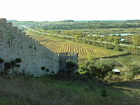 Castelo de Montemor-o-velho (vista exterior da muralha).jpg