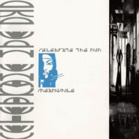 Обложка альбома «Meanwhile» (Celebrate The Nun, 1989)