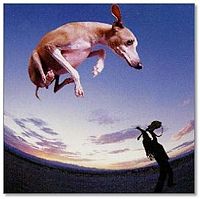 Обложка альбома «Flying Dog» (Пола Гилберта, 1998)
