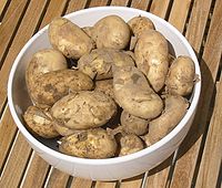 Jersey Royal potatoes.jpg