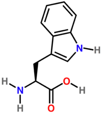 Триптофан: химическая формула