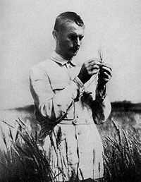 200px Lysenko in field with wheat
