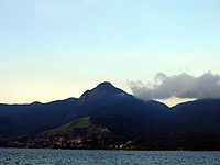 Pico-baepi-1.jpeg