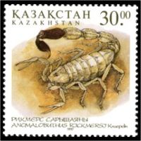 У скорпиона клешни или что. Смотреть фото У скорпиона клешни или что. Смотреть картинку У скорпиона клешни или что. Картинка про У скорпиона клешни или что. Фото У скорпиона клешни или что