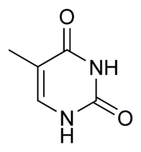 Тимин: химическая формула