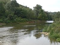 Zlatna-Panega-river.jpg