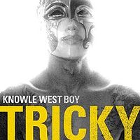 Обложка альбома «Knowle West Boy» (Трики, 2008)
