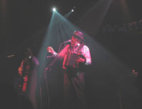 Tiger Lillies