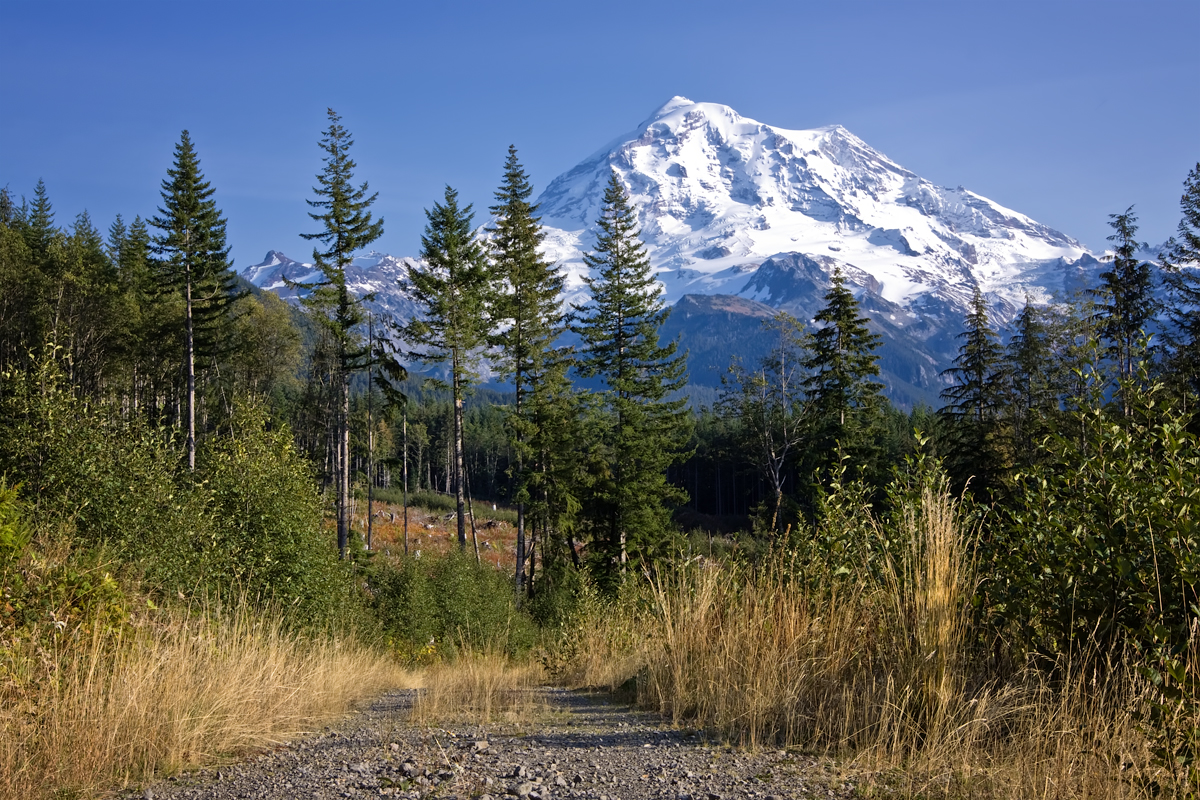 2011_Mount_Rainier