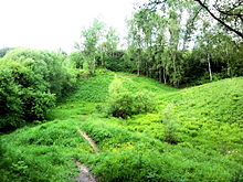 Biryulyovskiy Arboretum.jpg