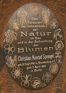 Christian-Konrad-Sprengel 0118 a.jpg
