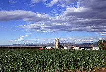 какую форму рельефа образует своим течением река колорадо. 220px Corn production in Colorado. какую форму рельефа образует своим течением река колорадо фото. какую форму рельефа образует своим течением река колорадо-220px Corn production in Colorado. картинка какую форму рельефа образует своим течением река колорадо. картинка 220px Corn production in Colorado. Вот уже 8 тысяч лет река Колорадо, что простирается с юго-запада США до северо-запада Мексики, является основным источником воды для, буквально-таки, всего живого, что находится вблизи нее и внутри нее.