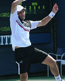 Eduardo Schwank at the 2010 US Open 02.jpg