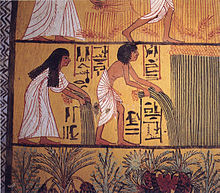 Два черноволосых египетских крестьянина, одетых в белой льняной одежде и стоящих в поле, собирают растения папируса. Внизу есть мотив зеленой растительности, и вверху — отсечение нижней части другой сцены с крестьянами в поле.