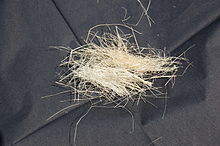 Sisal fibres.JPG