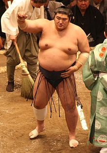 Sumo May09 Kotomitsuki.jpg