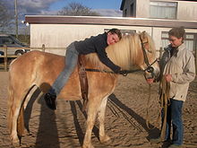 Therapeutisches Reiten 4.JPG