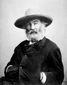 Walt Whitman by Mathew Brady.jpg