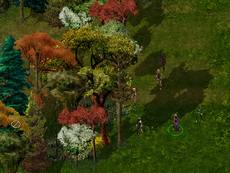 Baldur's Gate Cloakwood Forest GemRB 0.2.4 Linux.png