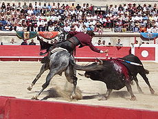 Corrida with horse.jpg