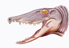 Secodontosaurus obtus1DB.jpg